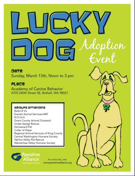 Lucky Dog Adoption Event in Bothell Washington