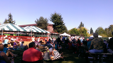 Bothell Blues Festival 2013 crowds