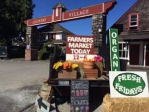 Bothell Farmers Market