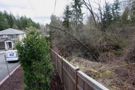 Bothell Brightwater Sink Hole