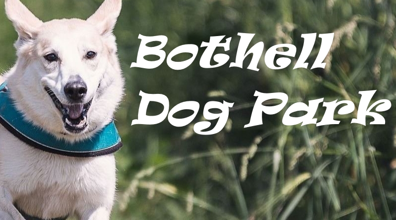 Bothell Dog Park - Pop up