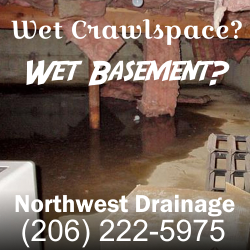 Wet basement, wet crawl space services in Seattle, Tacoma and Everett